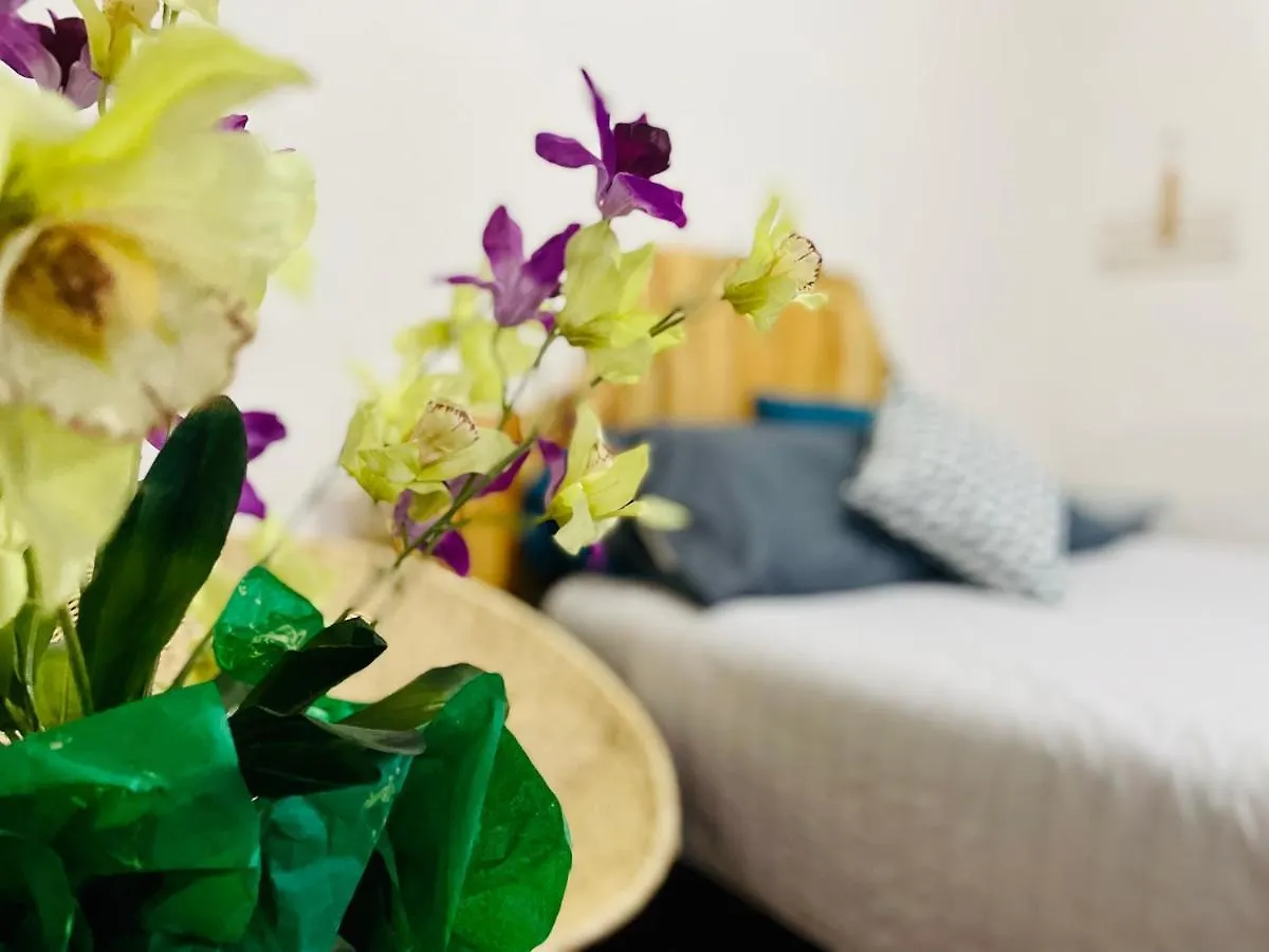 Homestay Casa De Nina Apartment Guadalajara Mexico